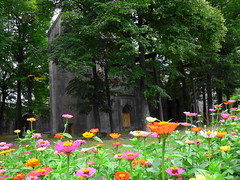 Flowers at Sanahin