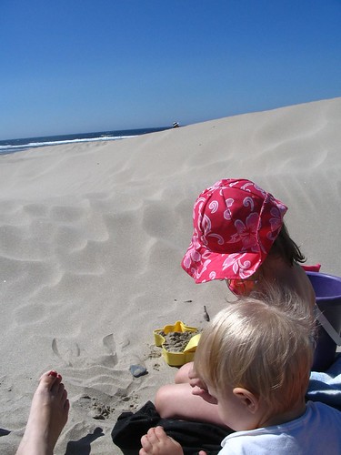 beach and dune